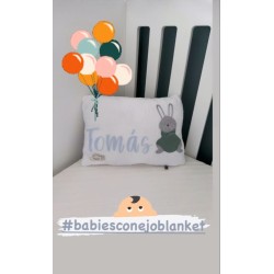 COJINES/ ALMOHADAS